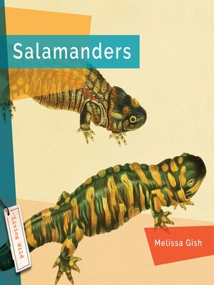 cover image of Salamanders